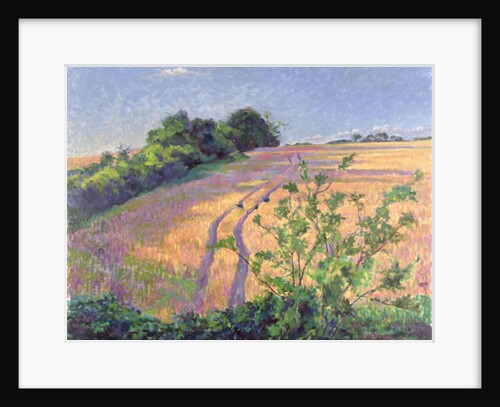 Golden Summer by Robert Tyndall