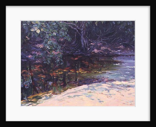 Beach and Rain Forest, Cape Tribulation, Northern Queensland, Australia by Robert Tyndall