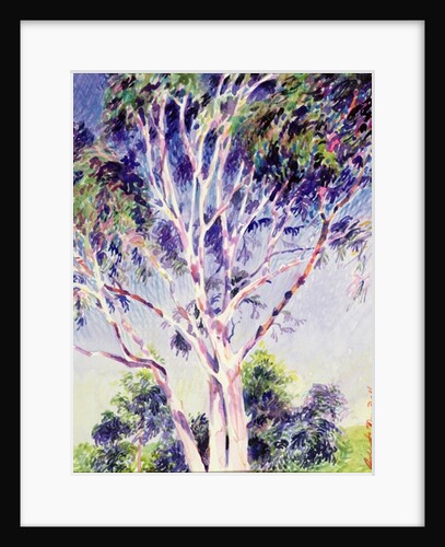 Gum Tree, Australia by Robert Tyndall