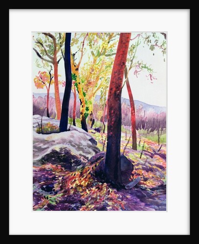 Bush Fire Survivors, Sydney, 1994 by Robert Tyndall