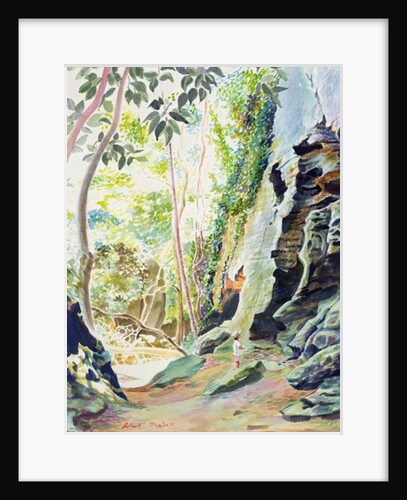 Rocks near Nowra, N.S.W. Australia by Robert Tyndall