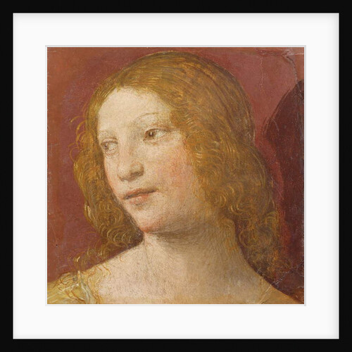 Head of a Young Woman by Bernardino Luini