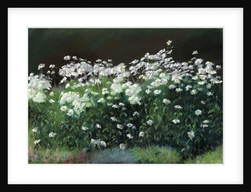 Shasta Daisies, 1992 by Anthony Rule