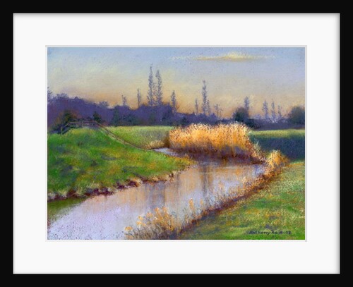 Winter Evening on the Clyst, 2003 by Anthony Rule