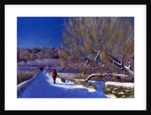 Winter Walk, 2012 by Anthony Rule