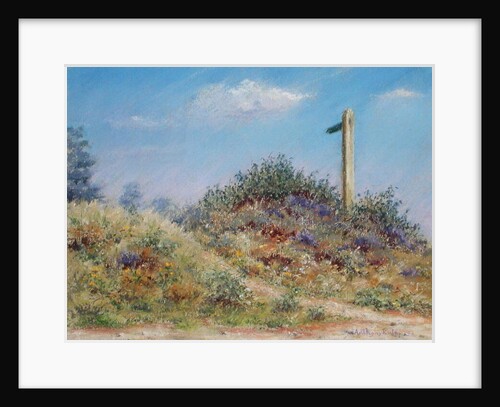 Public Footpath, 2002 by Anthony Rule