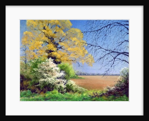 Blackthorn Winter, 2003 by Anthony Rule