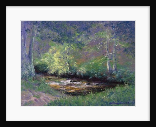 Forest Stream, 2002 by Anthony Rule