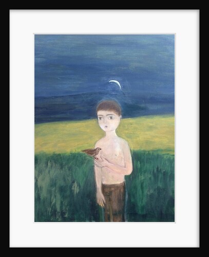 Boy with Bird, 2002 by Roya Salari