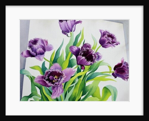 Purple Fringe Tulips, 2015 by Christopher Ryland