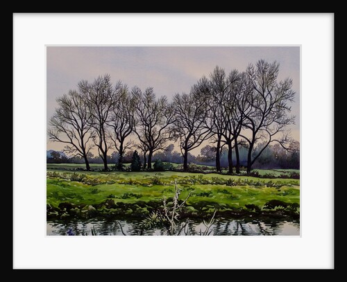 Winter Trees, 2013 by Christopher Ryland