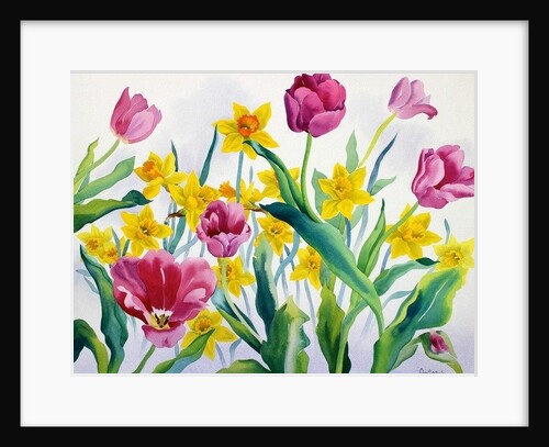 Daffodils and Tulips by Christopher Ryland