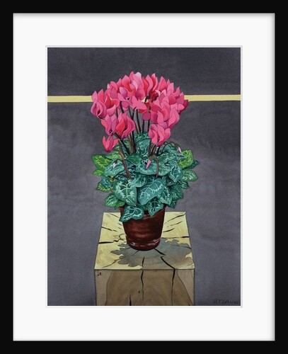 Still Life Cyclamen, 2014 by Christopher Ryland