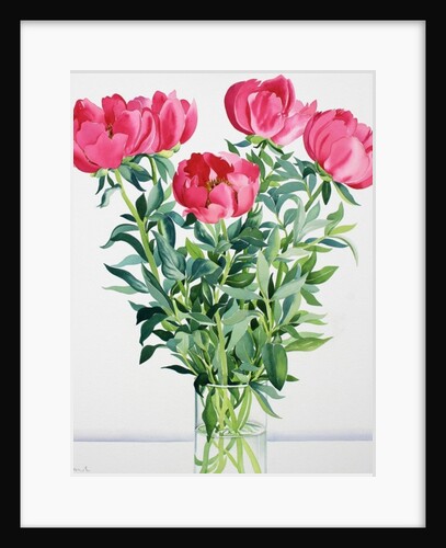 Peonies, 2016 by Christopher Ryland