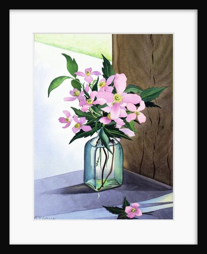 Still Life Pink Clematis, 2015 by Christopher Ryland