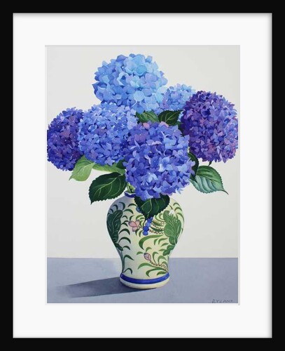 Blue Hydrangeas, 2016 by Christopher Ryland