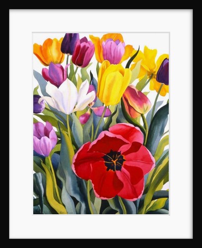 Tulips, 2007 by Christopher Ryland