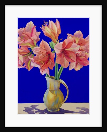 Amaryllis in a jug, 2007 by Christopher Ryland