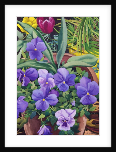 Flowerpots with Pansies, 2007 by Christopher Ryland