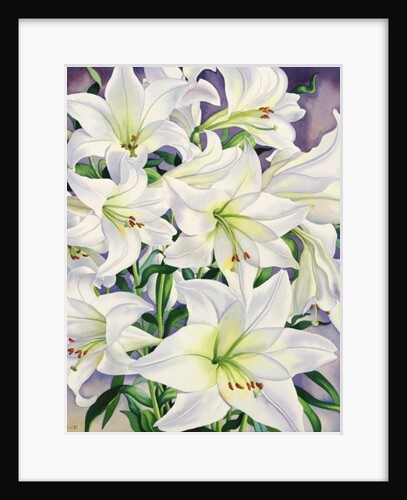 White Lilies, 2008 by Christopher Ryland