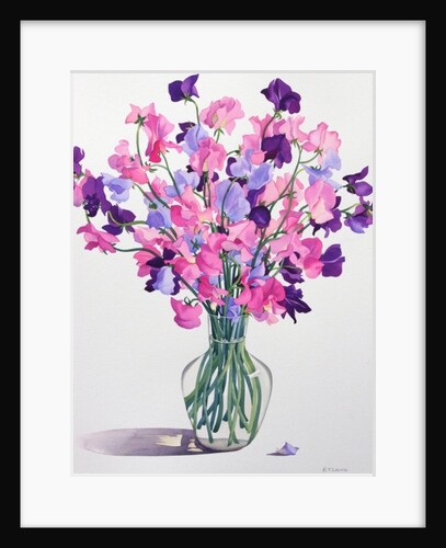 Sweetpeas, 2007 by Christopher Ryland