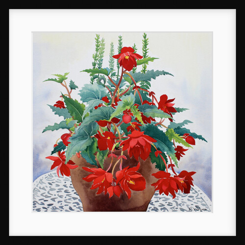 Begonia, 2017 by Christopher Ryland