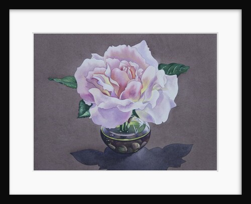 Rose Portrait, 2017 by Christopher Ryland