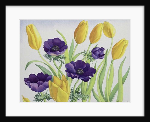Tulips and Anemones, 2018 by Christopher Ryland