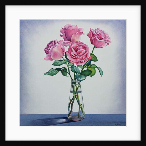 Pink Roses by Christopher Ryland