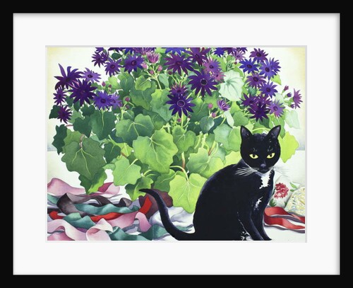 Senetti Plant and Cat, 2018 by Christopher Ryland