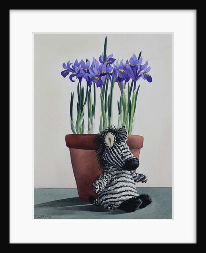 Winter Irises and Zebra, 2018 by Christopher Ryland