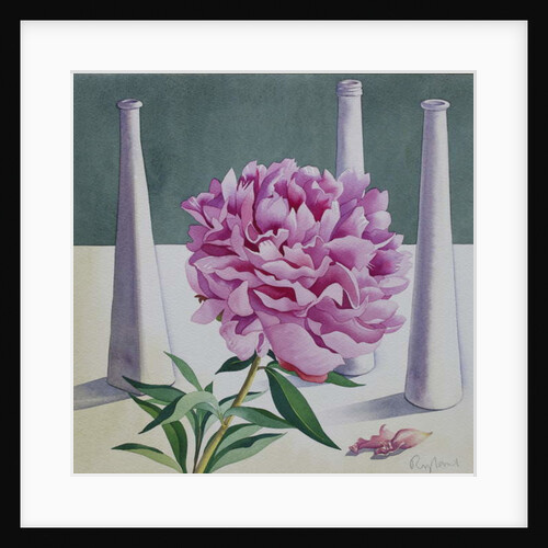 Paeony Still Life, 2018 by Christopher Ryland