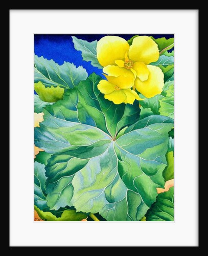 Yellow Begonia, 2019 by Christopher Ryland
