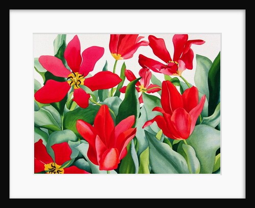 Shakespeare Tulips by Christopher Ryland