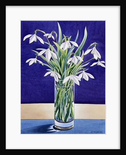 Snowdrops by Christopher Ryland