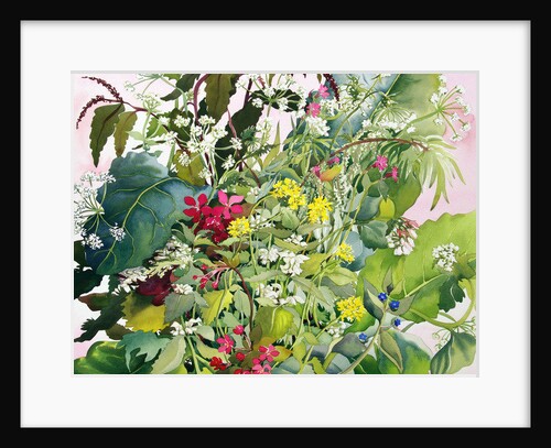 Wild Flowers with Comfrey and Campion by Christopher Ryland
