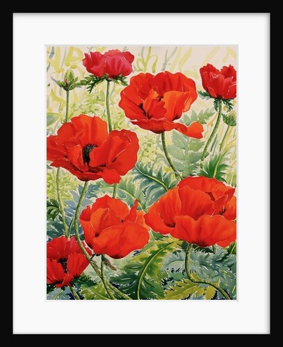 Large Red Poppies by Christopher Ryland