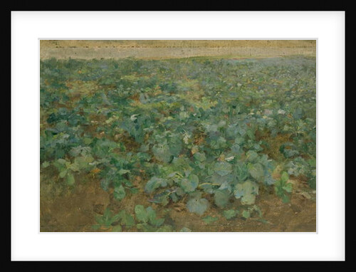 The Turnip Field by William Edward Stott