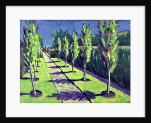 Avenue by Sara Hayward