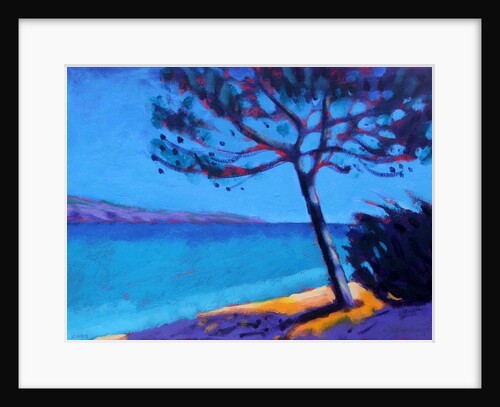 Pine Trees by Sara Hayward