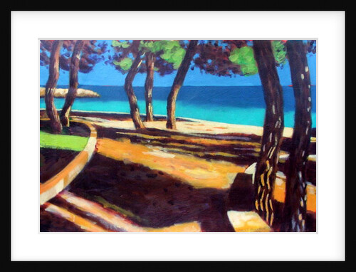 Shade by Sara Hayward