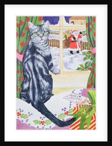 A Christmas visitor for Toby by Suzanne Bailey