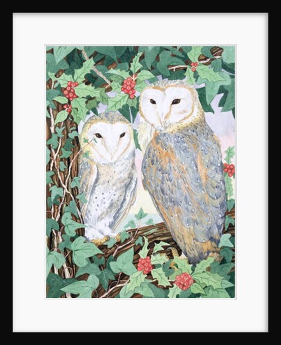 Barn Owls by Suzanne Bailey