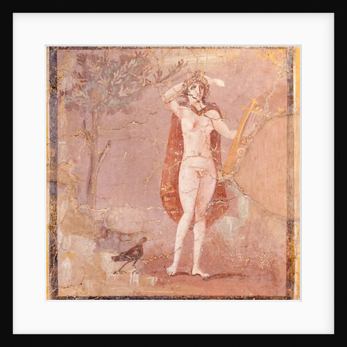 Hermaphroditus, fragment by Roman