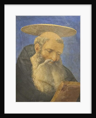 Head of a tonsured, bearded saint, c.1440-44 by Domenico Veneziano