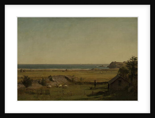 View Near Newport, Rhode Island, 1840-70 by Thomas Worthington Whittredge