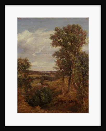 Dedham Vale, 1802 by John Constable