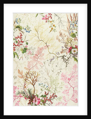 Seaweed design for silk material by William Kilburn