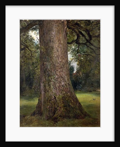 Study of the Trunk of an Elm Tree, c.1821 by John Constable