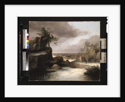 Shipwreck, 1834 by Thomas Doughty